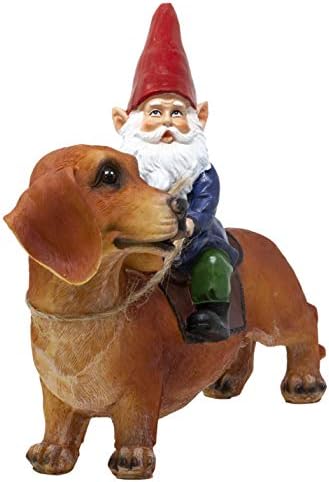 Funny Guy Mugs Gnome and a Dachshund Garden Statue- Indoor/Outdoor Garden Dog Gnome Sculpture for Patio, Yard or Lawn - Image 6