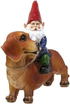 Funny Guy Mugs Gnome and a Dachshund Garden Statue- Indoor/Outdoor Garden Dog Gnome Sculpture for Patio, Yard or Lawn - Image 6