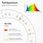 Garpsen Grow Light, Full Spectrum Plant Lights with Stand, for Large Plants - Image 4