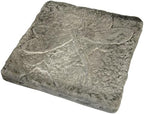 BestNest Set of 2 Athens Dragonfly Stepping Stones, Pre Aged - Image 4