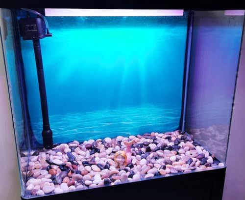 FANTIAN 20 lbs River Rocks for Landscaping, 2-3 Inch Pebbles for Plants - Image 6