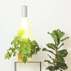 STERREN LED Grow Light, Plug in Plant Lights for Indoor Growing - Image 3