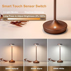 2 Pack Rechargeable Cordless Table Lamps 6000mAh LED Battery Table Light - Image 6