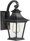 Emliviar Outdoor Porch Light, Modern Outside Wall Light Fixture for House Garage, Clear Glass in Black Finish, 12" Height, XE219B BK by EMLIVIAR