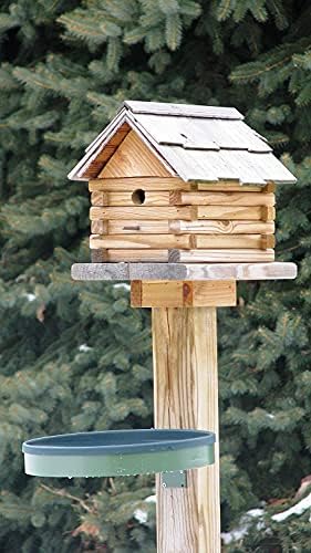 Farm Innovators Heated Bird Bath, 1 Quart Capacity, Outdoor Decor Shallow Bath Tray for Birds - Birdbath with Deck, Clamp, and Ground Mount Options - Image 4