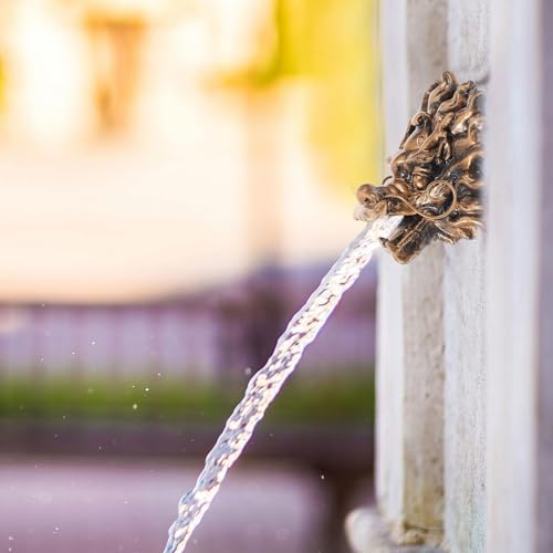 Wall Mounted Dragon Head Fountain Faucet for Outdoor Garden Wall - Image 6