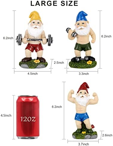 Funny Workout Garden Gnomes Statues 3pcs 6.2 Inches Outdoor Muscular, Barbell and Dumbbell Gnomes Decorations Set Gnome Gifts for Yard Lawn Patio, Indoor Gnome Figurine for Home Tabletop - Image 2