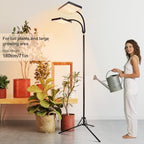 FECiDA 76" Standing Grow Lights for Tall Indoor Plants, Bonsai Tree, 2Head - Image 2