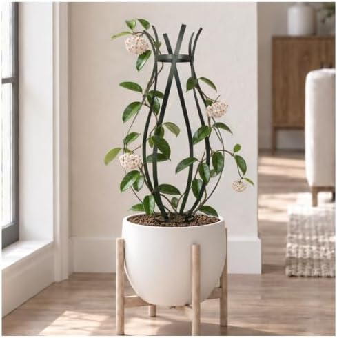 Trellis for Climbing Plants Outdoor, 32" H Obelisk Garden Decor by CyanOasis