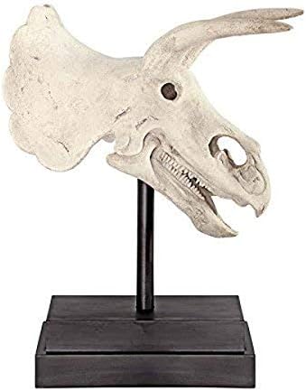 Design Toscano NE867039 Triceratops Dinosaur Skull Fossil Statue on Museum Mount,Multicolored by DesignToscano