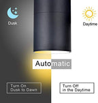 rosykite Dusk to Dawn Outdoor Lighting, Cylinder Up Down Wall Sconce - Image 2