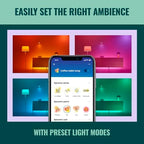WiZ Connected 120W PAR38 LED Smart Light Bulbs - 3 Pack - Connects to Your Wi-Fi - E26 Smart Bulb - Control with Voice or App + Activate with Motion - Matter Compatible - Image 5