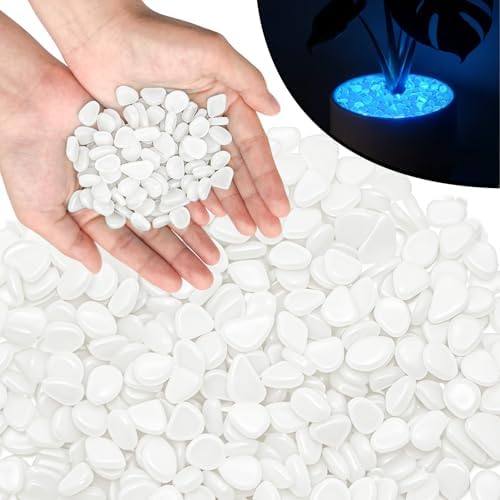 PoYang 2000pcs Glow in The Dark Rocks Outdoor Decor, White, 2.4 lbs/Bag by PoYang