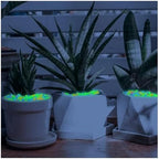 Decorative Rocks 500pcs Luminous Stones Glow in The Dark Rocks Outdoor Decorative Stones Garden Pebbles Glowing Rocks DIY(Color5) - Image 6
