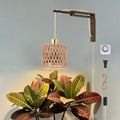 Hanging Grow Lights for Indoor Plants - 35W 4000K Full Spectrum Plant Light, Wall Mounted Grow Light with Wooden Bracket, Timer, 15FT Power Cord, Ideal for Plants, Flowers & Home Decor by QIHONGLT