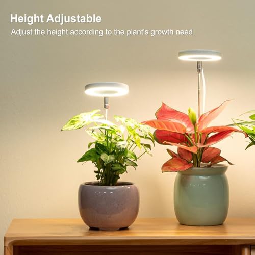 LORDEM Grow Light, Full Spectrum LED Plant Light for Indoor Plants, Height Adjustable Growing Lamp with Auto On/Off Timer 4/8/12H, 4 Dimmable Brightness, Ideal for Small Plants, 4 Packs - Image 5