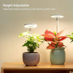 LORDEM Grow Light, Full Spectrum LED Plant Light for Indoor Plants, Height Adjustable Growing Lamp with Auto On/Off Timer 4/8/12H, 4 Dimmable Brightness, Ideal for Small Plants, 4 Packs - Image 5