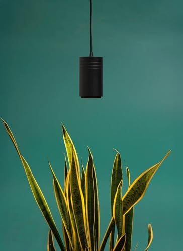 Aspect Soltech Gen 2 – World’s First Decor Grow Light | Black High-Output LED Pendant Grow Light for Indoor Plants | Warm White, Natural Light | Dimmable - Image 5