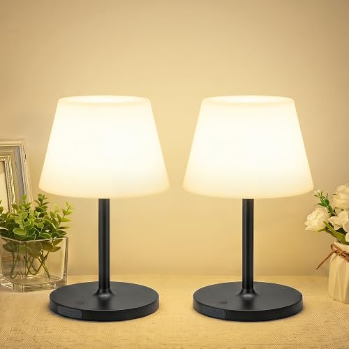 2 Pack Shower Lamp Waterproof, 6000mAh & 3 Color Temps and Stepless Dimming by LUTEC