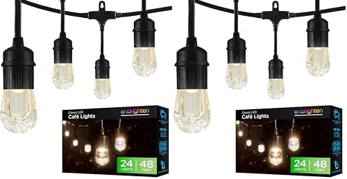 Enbrighten Classic Warm White String Lights, 48ft Black Cord, 24 Shatterproof Acrylic Bulbs, Weatherproof, Outdoor String Lights, 31664 (Pack of 2) by Enbrighten