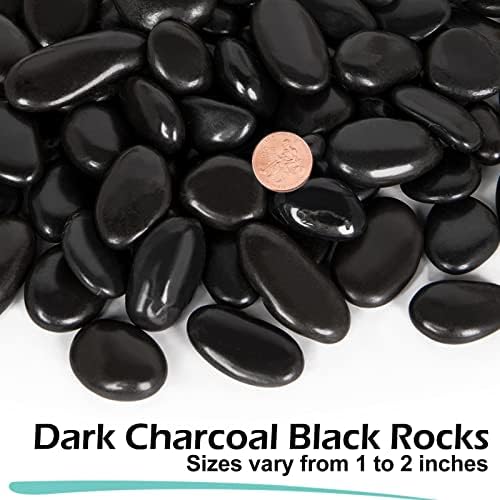 15 lb Black River Rocks for Landscaping, Polished Black Pebbles for Potted Plants & Vases, Large 1-2 Inch Decorative Stones for Garden Beds, Planters & Aquariums Decor - Image 2
