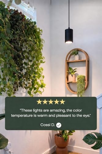 Aspect Soltech Gen 2 – World’s First Decor Grow Light | Black High-Output LED Pendant Grow Light for Indoor Plants | Warm White, Natural Light | Dimmable - Image 3