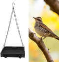 12V Thermostatic Heating Bird Feeder Hanging Plate Tray for Winter Garden Bird Bath Deicer US Plug 120V 60HZ Rapid Heating (for Water Feeding) by Rushbom