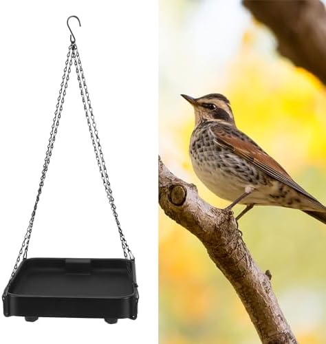 12V Thermostatic Heating Bird Feeder Hanging Plate Tray for Winter Garden Bird Bath Deicer US Plug 120V 60HZ Rapid Heating (for Water Feeding) by Rushbom