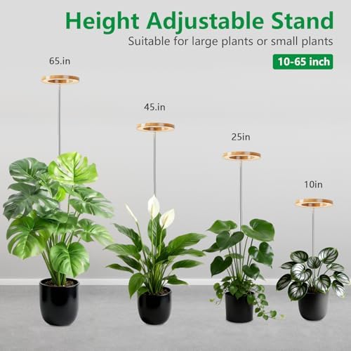 6.3in Grow Light for Indoor Plants, 15W Full Spectrum Halo Plant Lights - Image 2