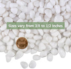 15lbs White Rocks, 3/8 Inch Small White Pebbles for Plants, Vase, Garden, Decorative Pea Gravel for Landscaping, Polished - Image 3