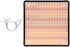 Upgraded 2000W LED Grow Light, Full Spectrum, New-Gen High-Performance Diodes & Enhanced PPFD for Indoor Plants Veg/Bloom, Hanging Growing Lamp in 2x2 Grow Tent,B by Unknown