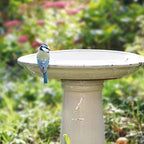 Esschert Design FB423 Bath on Pedestal with Bird, Ceramic, White - Image 5