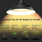 Lightdot Grow Lights for Indoor Plants, 165W 5000K Full Spectrum, with Aluminum Reflector, Hanging Lights for Indoor Growing, Large Tall Plants, Garden, Flowers, Greenhouse - 2Pack - Image 6