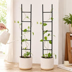 2PCS Indoor Plant Trellis, Sturdy Ladder Trellis for House Plant - Image 6