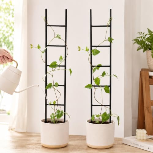 2PCS Indoor Plant Trellis, Sturdy Ladder Trellis for House Plant - Image 6