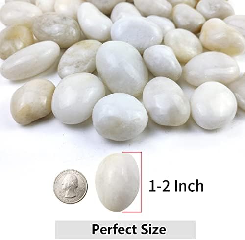 YISZM 20lbs White River Rocks, 1-2 Inch Natural Pebbles for Indoor Plants, High Polished Decorative Stones Vase Filler Fish Tank Aquariums Landscaping Garden Outdoor and Indoor DIY - Image 2