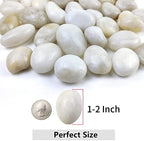 YISZM 10lbs White River Rocks, 1-2 Inch Natural Pebbles for Indoor Plants, High Polished Decorative Stones Vase Filler Fish Tank Aquariums Landscaping Garden Outdoor and Indoor DIY - Image 2