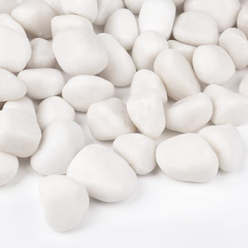 30 lbs White Rocks for Landscaping, 1-2Inch River Rocks for Plants by OutdoorD%C3%A9cor