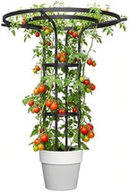 43 Inch Umbrella Trellis for Climbing Plants Outdoor by PlusYard