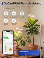 GLOWRIUM Grow Lights for Indoor Plants,Full Spectrum Plant Light with Stand - Image 3