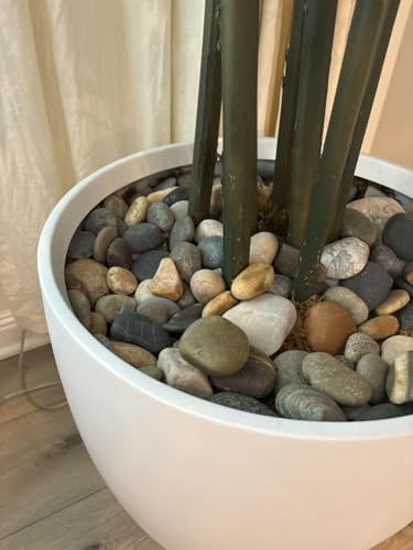 FANTIAN 10 lbs River Rocks for Aquarium, 1-2 Inch Natural Pebble for Plants - Image 7
