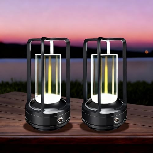 Cordless Table lamp, 4000mAh Battery Rechargeable Lamp (Black-2) by LAYSHINEEN