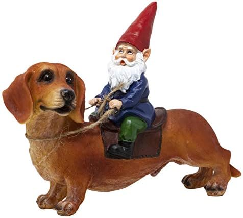 Funny Guy Mugs Gnome and a Dachshund Garden Statue- Indoor/Outdoor Garden Dog Gnome Sculpture for Patio, Yard or Lawn by FunnyGuyMugs