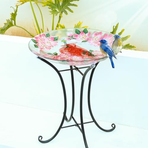 MUMTOP Outdoor Glass Birdbath with Metal Stand for Garden Cardinal Decor - Image 2
