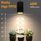 40W Plant Lights for Indoor Growing, Hanging Plant Lamp for Indoor Plants, Large Tall Plant, Garden, Flowers, Greenhouse, with Timer and 15ft Braided Cord, 3000K Full Spectrum, COB Bulb Aluminum Black - Image 3
