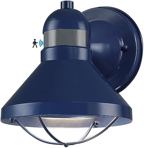 Motion Sensor Outdoor LED Wall Sconce Dusk to Dawn Exterior Barn Lighting by LONEDRUID