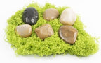 10lbs 1-2 Inch River Rocks, Decorative Mixed Pebbles for Garden Landscaping, Indoor Plants, Fish Tanks, Vases, and Succulents – Ideal for Home Decoration and Outdoor Gardens (Weight : 10 LB, Mixed) - Image 5