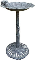 Oakland Living Frog Bird Bath, Verdi Grey by OaklandLiving