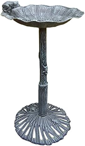 Oakland Living Frog Bird Bath, Verdi Grey by OaklandLiving