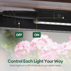 Maygrove Grow Lights for Indoor Plants, Sunlike Full Spectrum 5000K 2FT LED Growing Lamp 120W (8 x 15W), T5 Grow Light Strip for Seed Starting, Vegetables, Linkable, Black, 8-Pack - Image 5